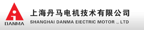 上海丹马电机技术有限公司